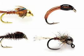 Image result for Fly Fishing Nymph Rigs