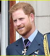 Image result for Prince Harry Daily Mail