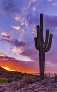 Image result for Arizona Sunset Photography