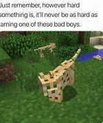 Image result for Minecraft Memes Fate