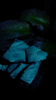 Image result for Black iOS Wallpaper