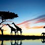 Image result for Africa