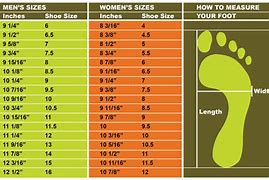 Image result for Height Based On Foot Size