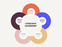 Image result for Measure Conscious Leadership