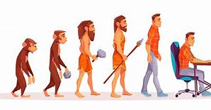 Image result for Evolution of Modern Humans