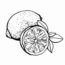 Image result for Lime ClipArt Black and White