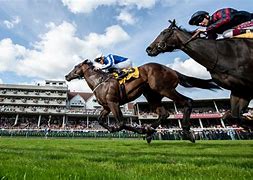 Image result for British Horse Racing