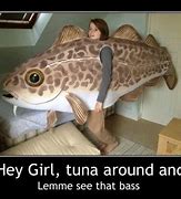 Image result for Ocean Animal Memes