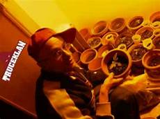 in the panchine truceklan me ne sbatto er chicoria ztk truceklan in the panchine truceklan me ne sbatto er chicoria ztk truceklan