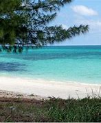 Image result for Grand Bahama Island Beaches