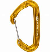 Image result for Carabiner Clip PNG