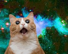 Image result for Purple Galaxy Cat GIF