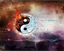 Image result for Twin Flame Ying Yang