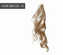 Image result for Hair Brush Photoshop