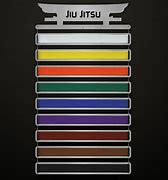 Image result for Martial Arts Belt Colors