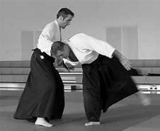 Image result for Aikido Dojo