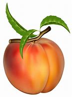 Image result for Peach Cartoon Background