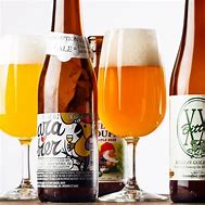 Image result for Belgian IPA