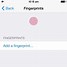 Image result for Touch ID iPhone Set Up