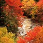 Image result for Blue Ridge Fall Colors