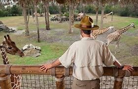 Image result for Zoo Zookeeper