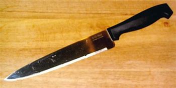 Image result for Best Knives That Stay Sharp