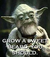 Image result for Star Wars Beard Memes