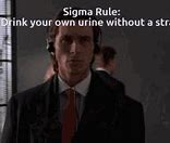 Image result for Sigma Male Meme GIF