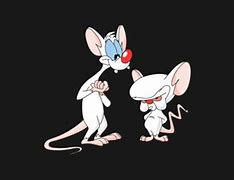 Image result for Pinky and the Brain T-Shirt