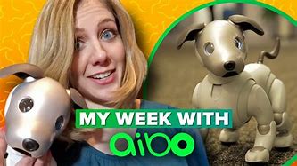 Image result for Aibo 1