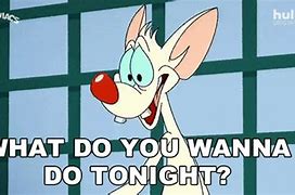 Image result for Pinky and the Brain Meme What Are We Doing Today