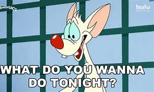 Image result for Pinky and the Brain Quotes Funny