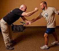 Image result for Best Martial Art Styles