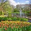 Image result for Amsterdam Nature