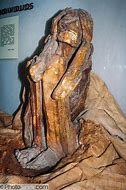Image result for Peruvian Mummy