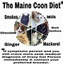 Image result for Funny Maine Memes