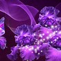 Image result for 1 Purple Butterfly Wallpaper