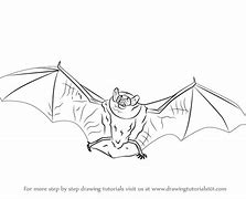 Image result for Little Brown Bat Drawing