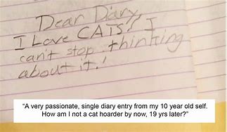 Image result for Diary Notes Funny