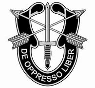 Image result for Special Forces Crest