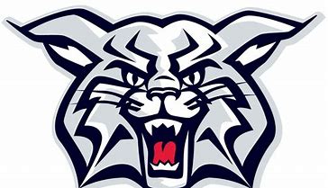 Image result for Wildcat Logo Clip Art