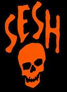 Image result for TeamSESH Art