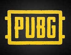 Image result for Pubg Player