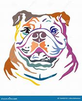 Image result for Exotic Bulldog Illustration