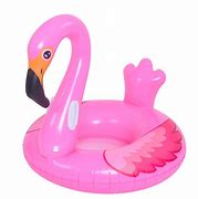 Image result for Flamingo Float
