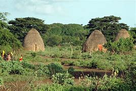 Image result for Kenya Native Animals