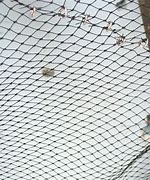 Image result for One Way Bat Netting