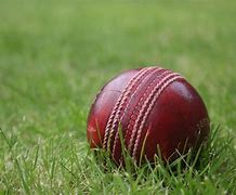 Image result for Cricket Photos HD