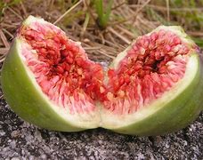 Image result for Green Fruit with Pink Inside