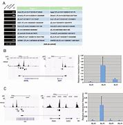 Image result for 3C-Pcr